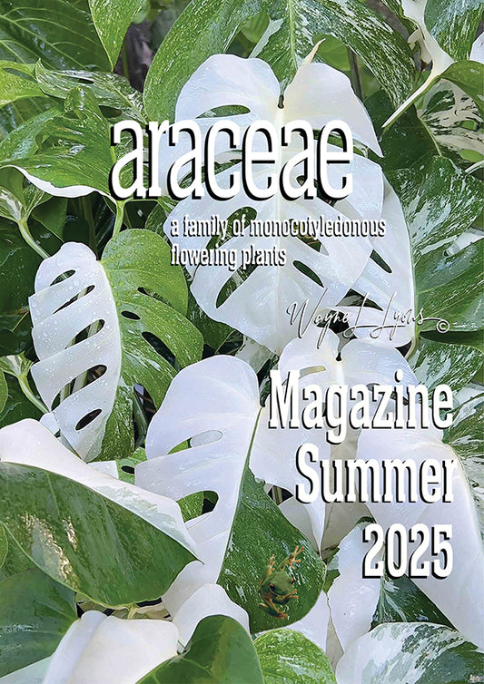 Araceae (4) Magazine - Summer 2025