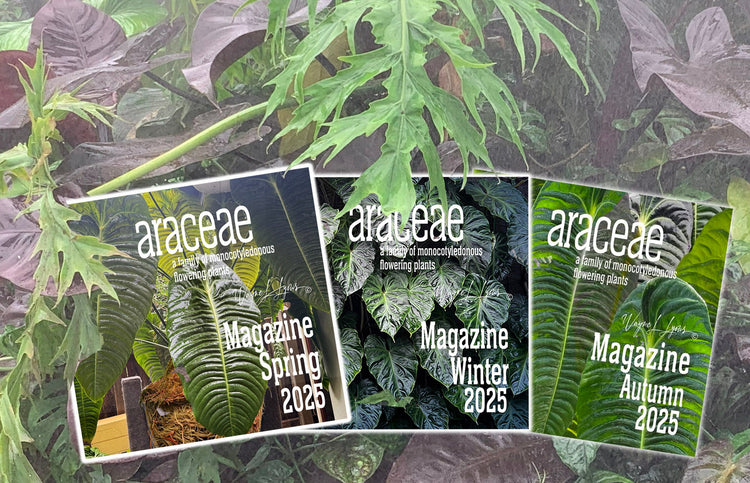 Araceae Magazines