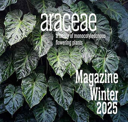 Araceae Magazine - Winter 2025