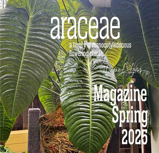Araceae Magazine - Spring 2025