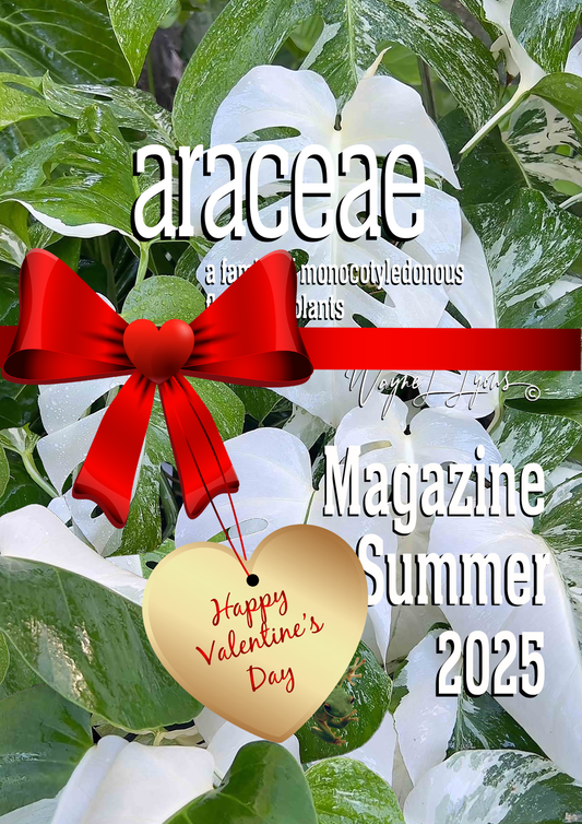 Araceae (4) Magazine - Summer 2025