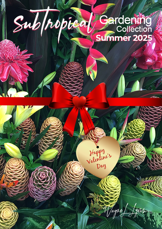 Subtropical Gardening Collection (1) Summer 2025.